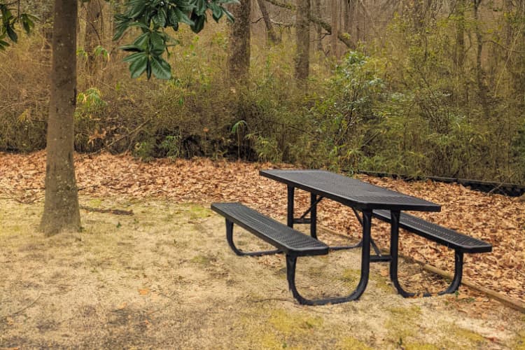 Park Image