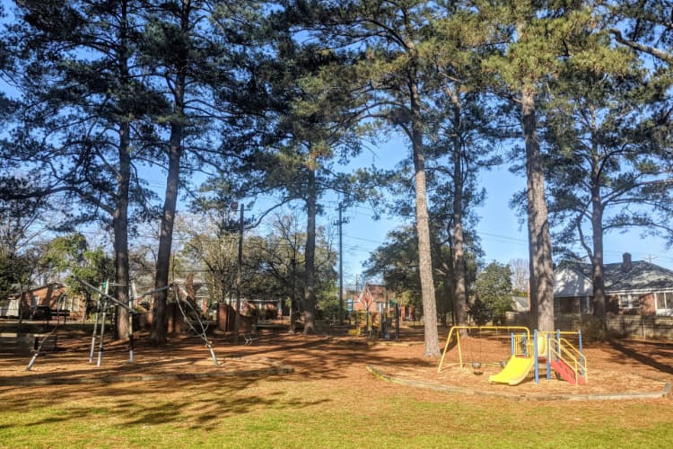 Park Image
